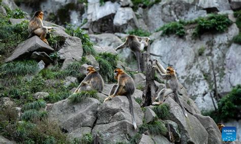 玉合公園裡的四季風景如何?